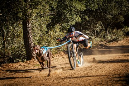 La competición se desarrolla en la pradera San Marcos