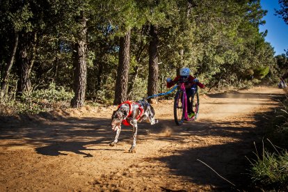 La competición se desarrolla en la pradera San Marcos