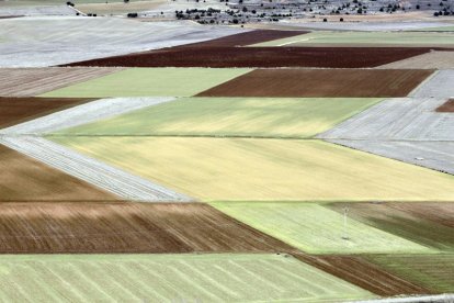 Fincas de labor en un pueblo de Soria.