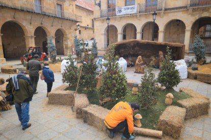 Ultimando los detalles del Belén en la plaza Mayor