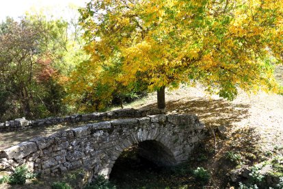 La naturaleza es un pilar muy importante en Tierras Altas.