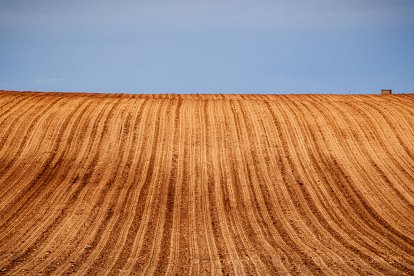 Este año deja record de daños en el campo