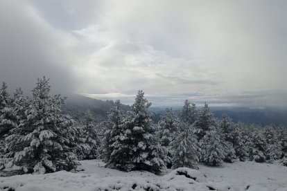 Nieve en Urbión en la primera nevada importante de este invierno.