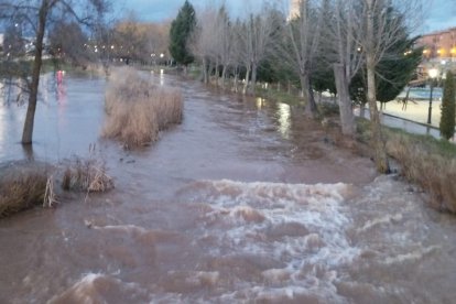 Imagen del Ucero esta tarde en El Burgo.