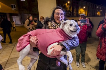 Los animales reciben la bendición en la parroquia de Santa Bárbara