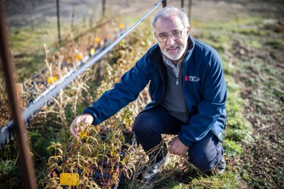 Luis Esteban, investigador del Ceder-Ciemat en Soria.