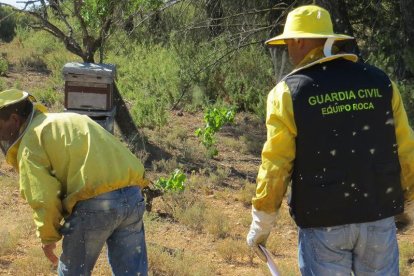 El equipo Roca de la Guardia Civil investiga los delitos que se producen en el campo.