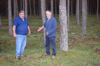 Félix Sanz y Antonio Medrano, en uno de los montes donde pastan sus animales