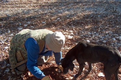 La empresa Arotz, galardonada por su plantación de trufas.