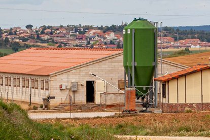 Granja de cerdos en la provincia