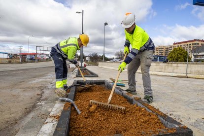 Dos operarios colocando la tierra en una de las jardineras instaladas en las nuevas aceras de Avenida de Valladolid.