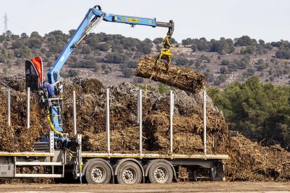 En 2023 se tramitaron 1.150 expedientes en montes públicos, y otros 1.188 en privados, para cortar 288.274 metros cúbicos de madera