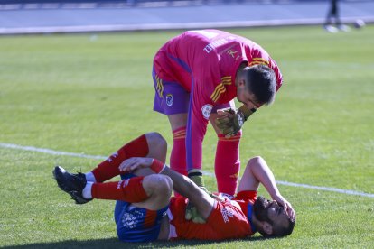 Lupu tendido en el césped del Nuevo Vivero de Badajoz.