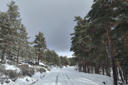 Nevada de este fin de semana en cotas altas de Pinares.