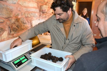 Clasificando trufas de un lote para sacar a subasta