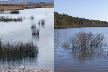 A la izquierda, el embalse de Monteagudo; a la derecha, Cuerda del Pozo.