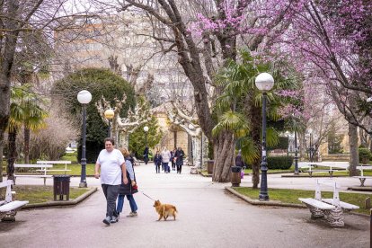 Flores por el estallido de la primavera en pleno marzo