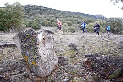 Varios corredores durante una prueba de montaña.