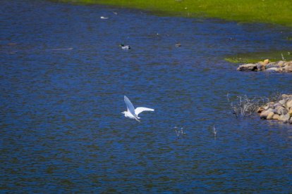 Un pantano pletórico asegura las reservas hídricas