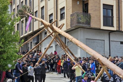 Otro pueblo de pinares fiel a su tradición