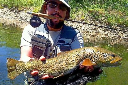 Excelente ejemplar de trucha aún en manos de su pescador.