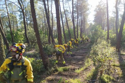 La BRIF de Lubia practica la apertura de una línea de defensa.