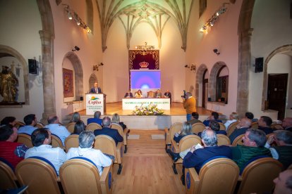 Asamblea general de Copiso, el año pasado en el Aula Magna Tirso de Molina.