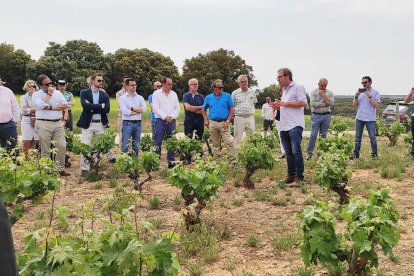 Encuentro de Viñas Viejas en San Esteban en una edición anterior