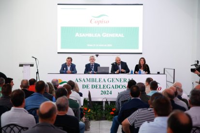 Asamblea general de Copiso.