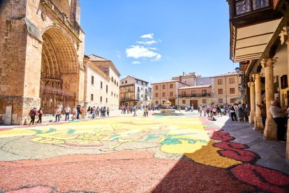 El Burgo de Osma volvió a vivir un Corpus Christi lleno de color y fervor con sus tradicionales alfombras florales.