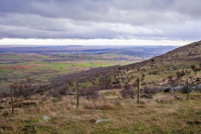 Parcela junto a un monte de Soria.