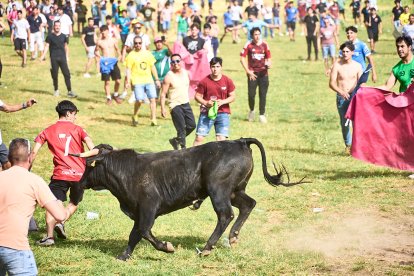 Un joven seguido de cerca por un toro en Valonsadero.