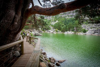 Laguna Negra teñida de verde.