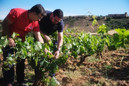 Jaime Súarez e Ismael Sanz en la explotación de Atauta.