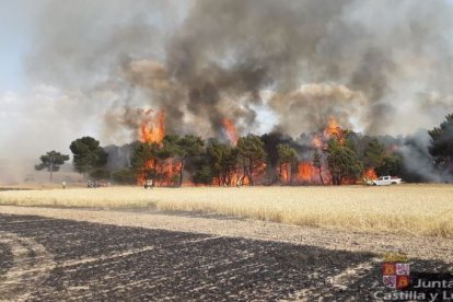 Incendio en Los Rábanos este viernes 19 de julio.