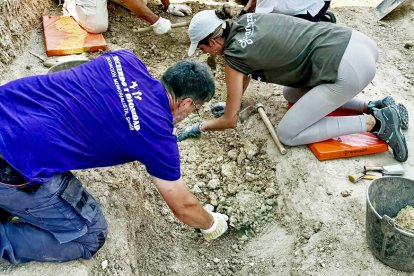 Trabajos en las dos fosas comunes localizadas en Villasayas, este domingo.