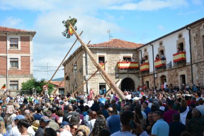 La pingada del mayo de Vinuesa da el pistoletazo de salida a sus fiestas de la Virgen del Pino y San Roque 2024.