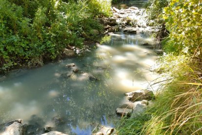 Estado del río Linares en la imagen facilitada por el grupo ecologista.