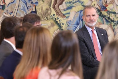 El Rey Felipe VI durante una audiencia.