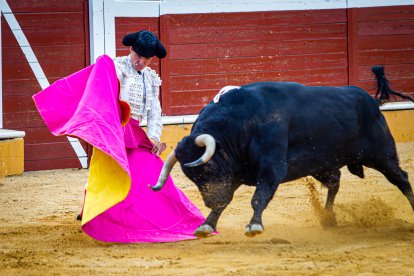 Toros en San Saturio. MARIO TEJEDOR