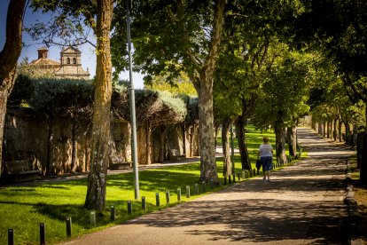 Soleada imagen del paseo del Mirón, en Soria.