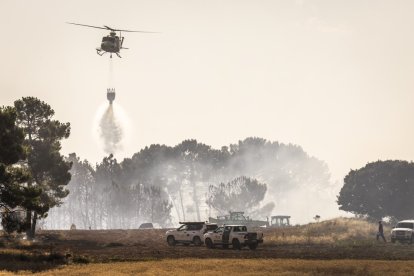 Incendio el Los Rábanos el 19 de julio, el suceso con mayor afección a superficie arbolada de toda la campaña.