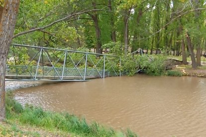 La pasarela sobre el Duero en el Soto Playa de Soria, destrozada por la caída de un árbol por el viento