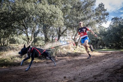 La Airon Dog Race comenzó con una gran nivel de los mushers sorianos.