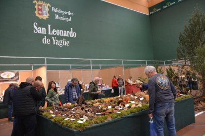 San Leonardo se vuelca con setas, hongos y los valores del bosque en sus XXI Jornadas Micológicas.