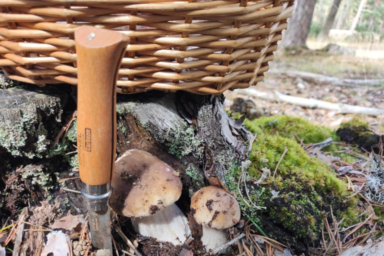 Imágen de la noticia