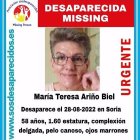 Cartel con el rostro de la mujer desaparecida en Soria. HDS