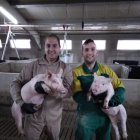 Hugo y Héctor forman parte del equipo de Guillermo Moreno con los que trabaja en los núcleos genéticos de Copiso y en ocho granjas de recría.