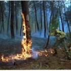 El Incendio de Izana quemó parte de Matamala de Almazán y Tardelcuende