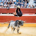 Los 12 recortadores se enfrentaron al toro